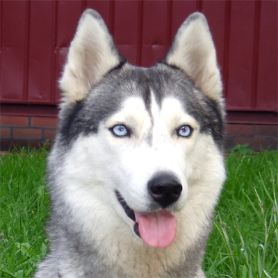 Lada Sineoka ??-� Semargla  ~Nala